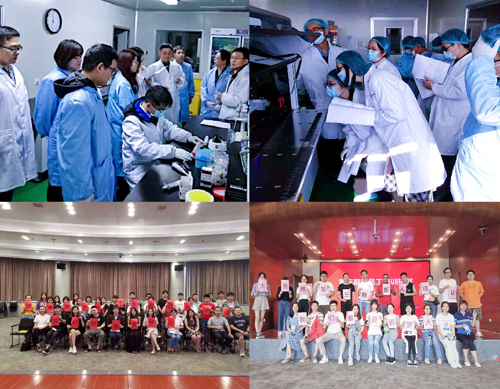 ������� �C �������,��������