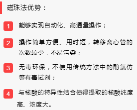 ������� �C �������,��������