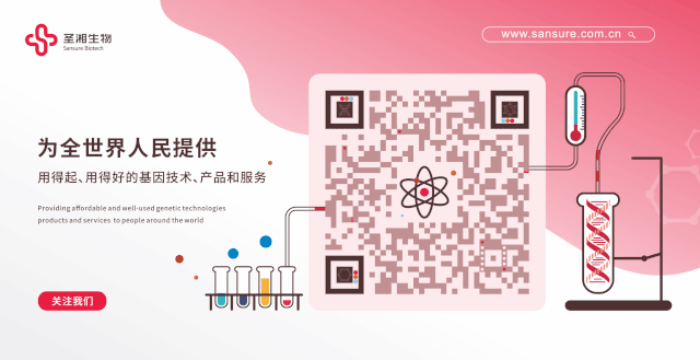 ������� �C �������,��������