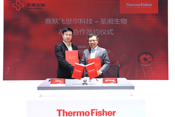 ������� �C �������,��������