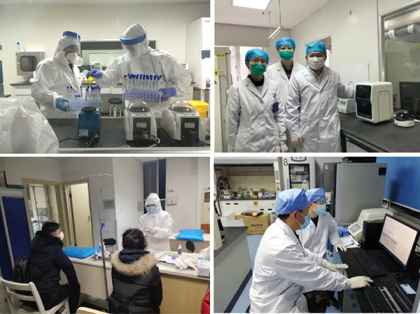 ������� �C �������,��������