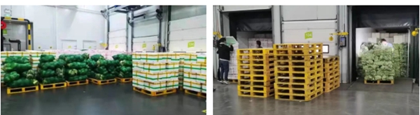 20220330095643457 ÖÁ×ð¹ú¼Ê ¨C ÖÁ×ð·þÎñ,ÖÁ×ðÏíÊÜ